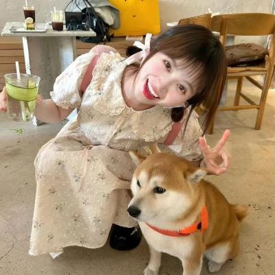 艾薇和豆豆:芭蕾必修课 高清封面